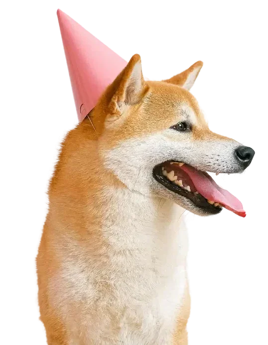 cashdog e1718264880444 - Monetha