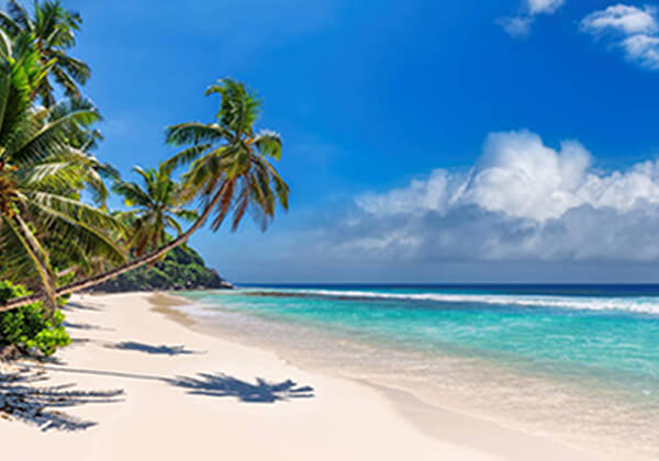 travel products booking 1 - Monetha