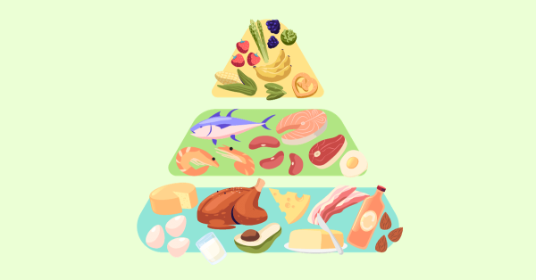 food pyramid